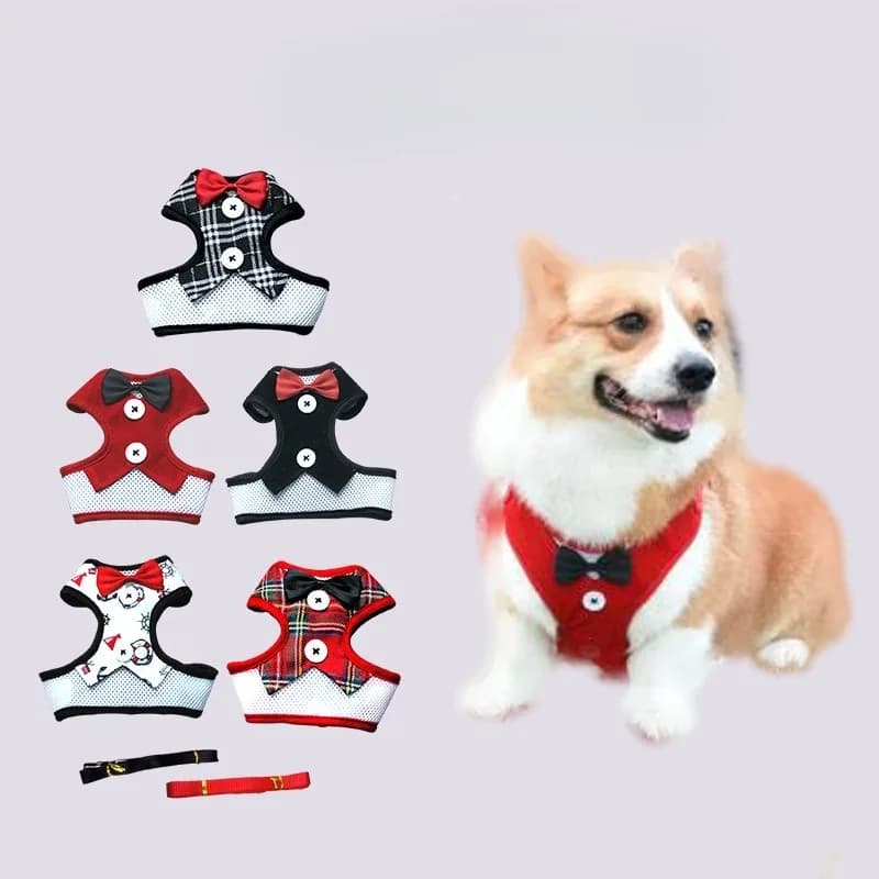 Adjustable Pet Harness with Bow Tie Leash