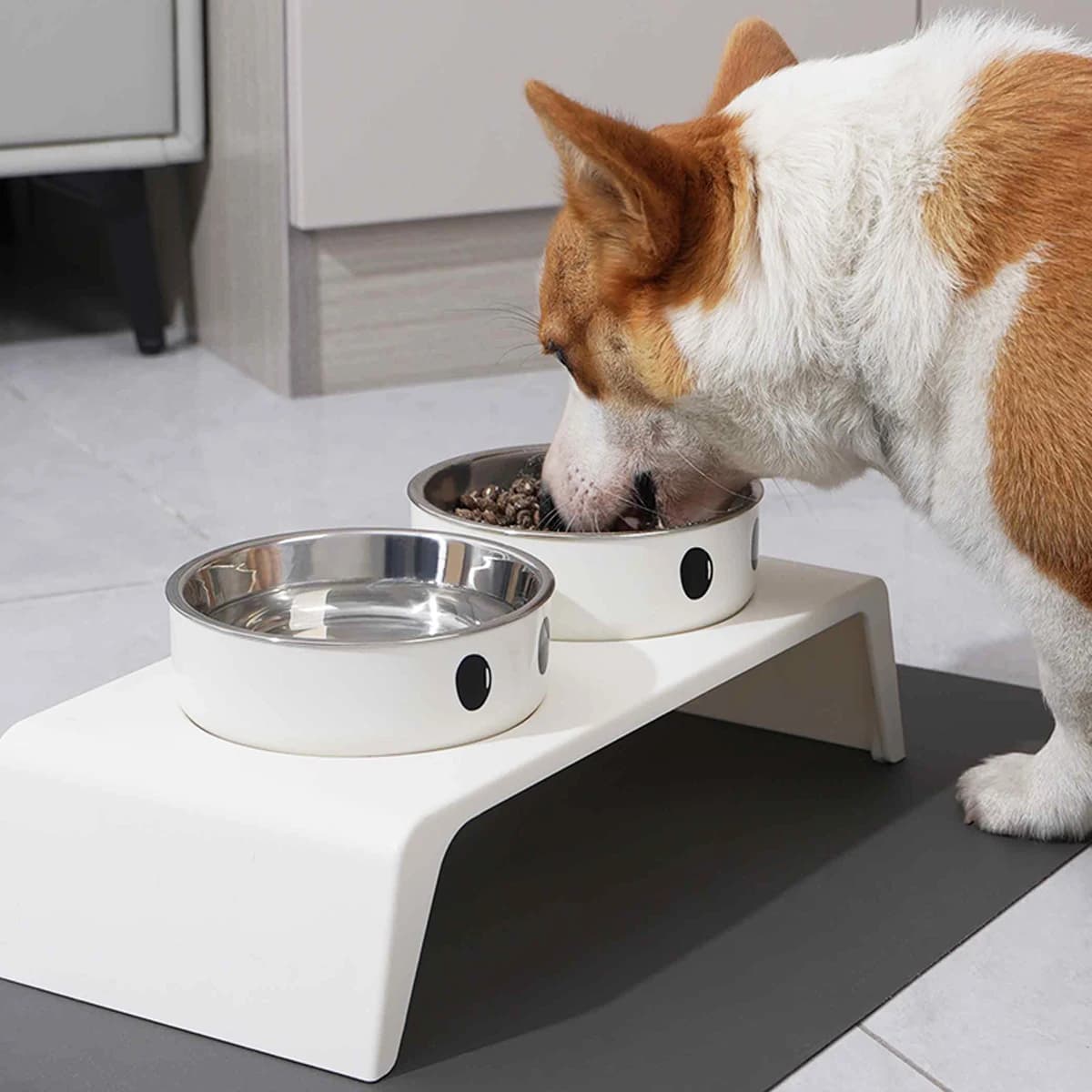 Elevated Pet Feeder Stand with Double Bowls