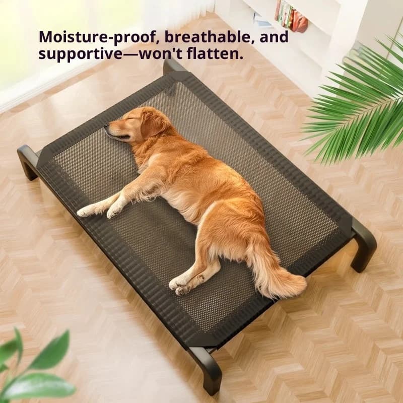 Elevated Pet Bed with Breathable Mesh