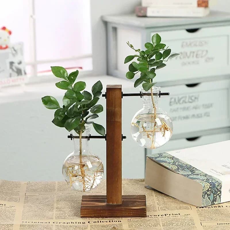 Hydroponic Plant Terrarium with Wooden Stand