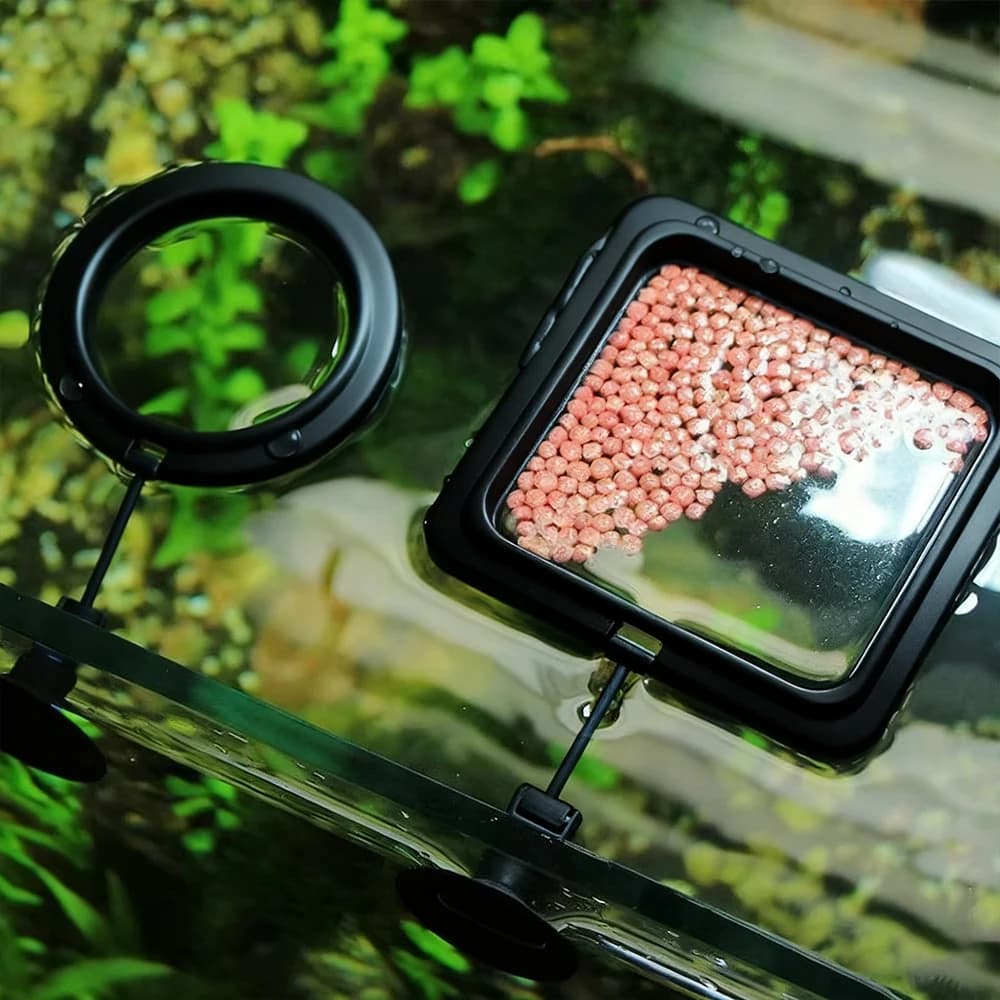 Aquarium Floating Feeding Ring with Suction Cup