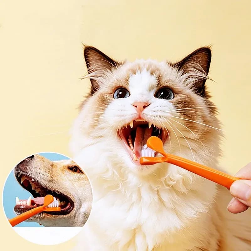 Double-Head Pet Toothbrush