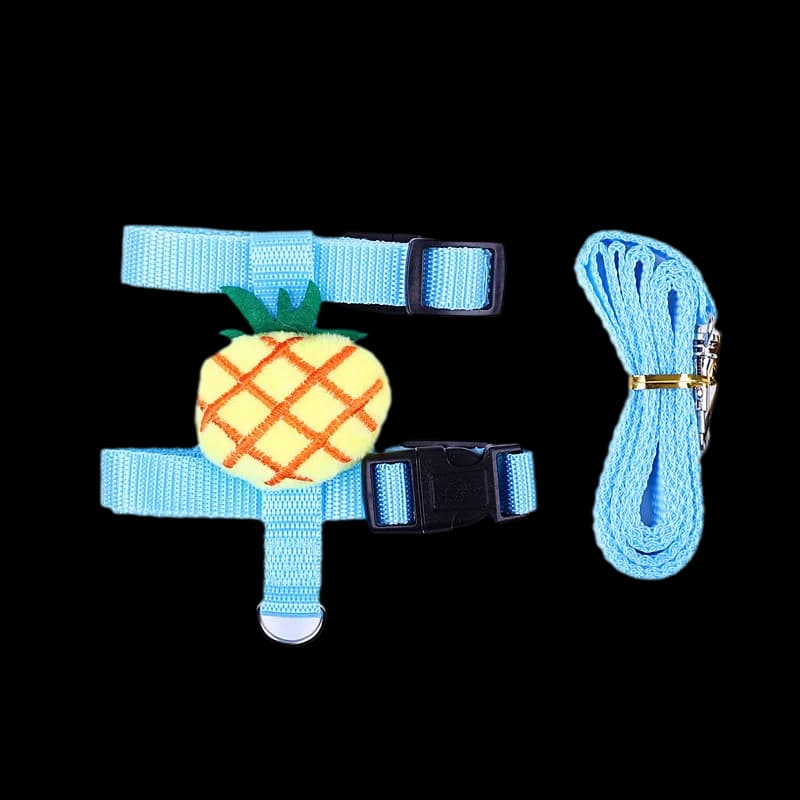 Small Animal Harness and Leash Set