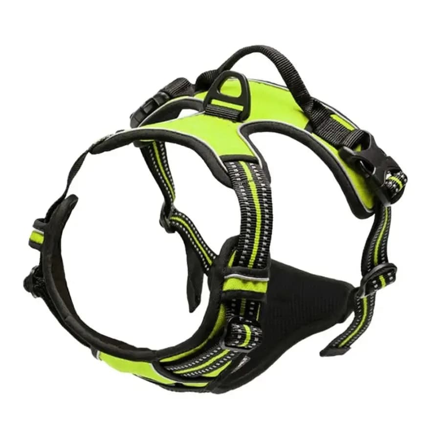 Dog Collar Harness and Leash Set