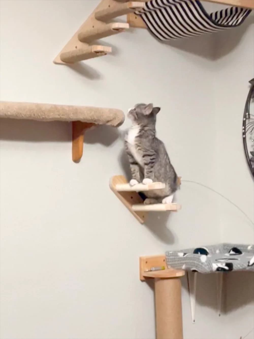 Wall Mounted Cat Tree with Floating Shelves