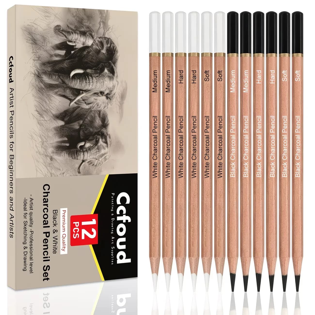 Sketching Pencil Set with Charcoal, 12 Pieces