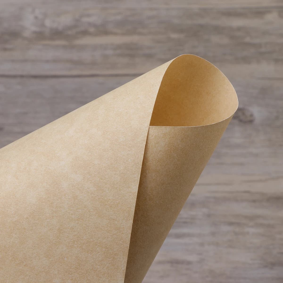 Parchment Paper A4 Certificate Sheets