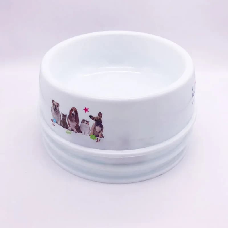 Large Capacity Dog and Cat Food Bowl