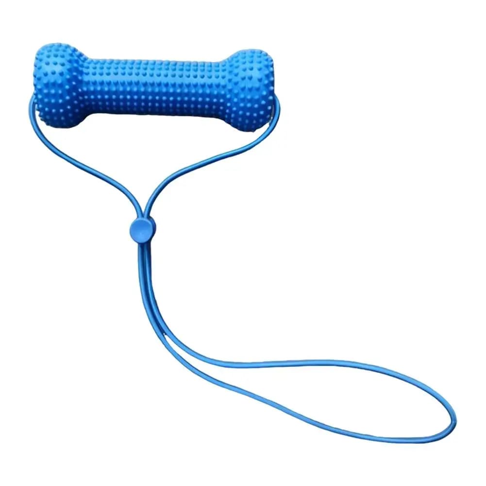 Dual-Action Canine Dental Chew Toy