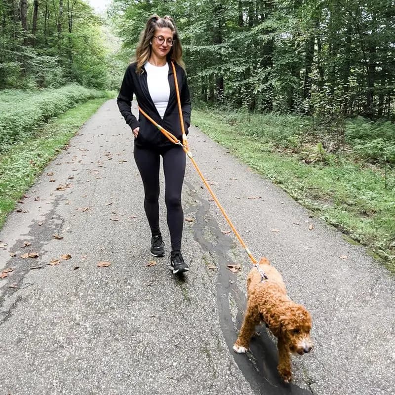 Adjustable Hands-Free Dog Leash