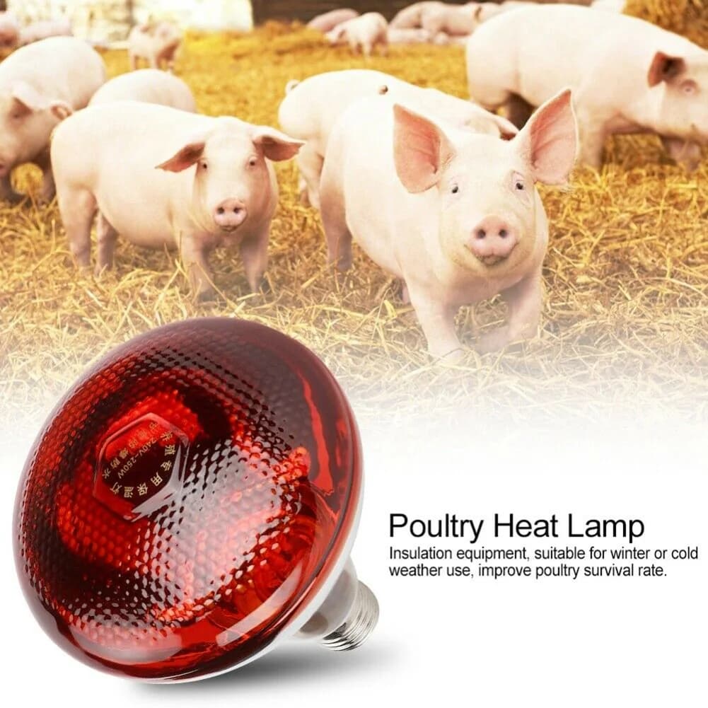 250W Infrared Heat Lamp Bulb E27