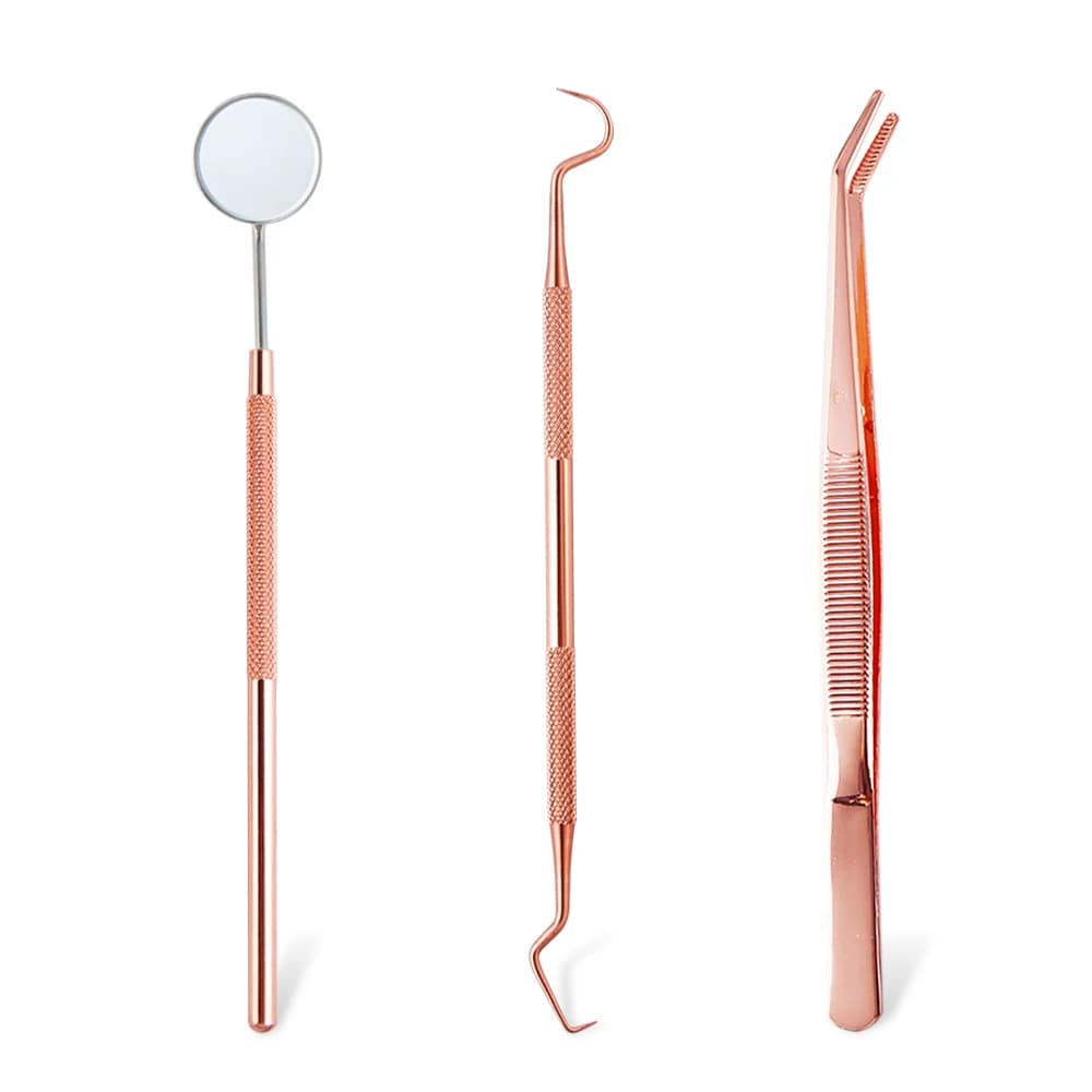 Dental Probe and Cleaning Tool Kit