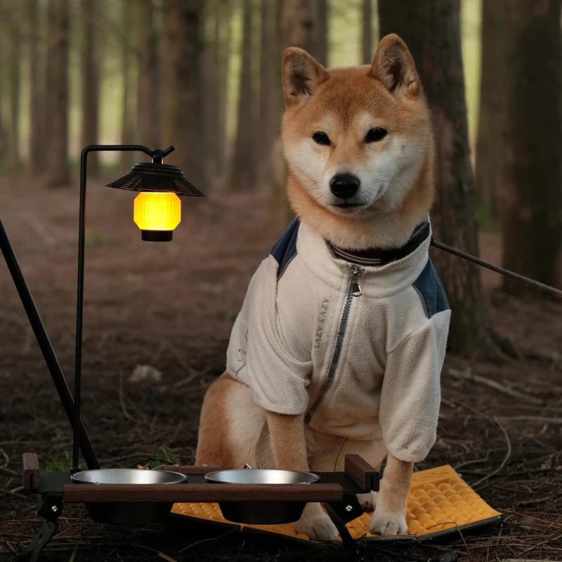 Foldable Outdoor Pet Feeder Stand with Lamp Pole