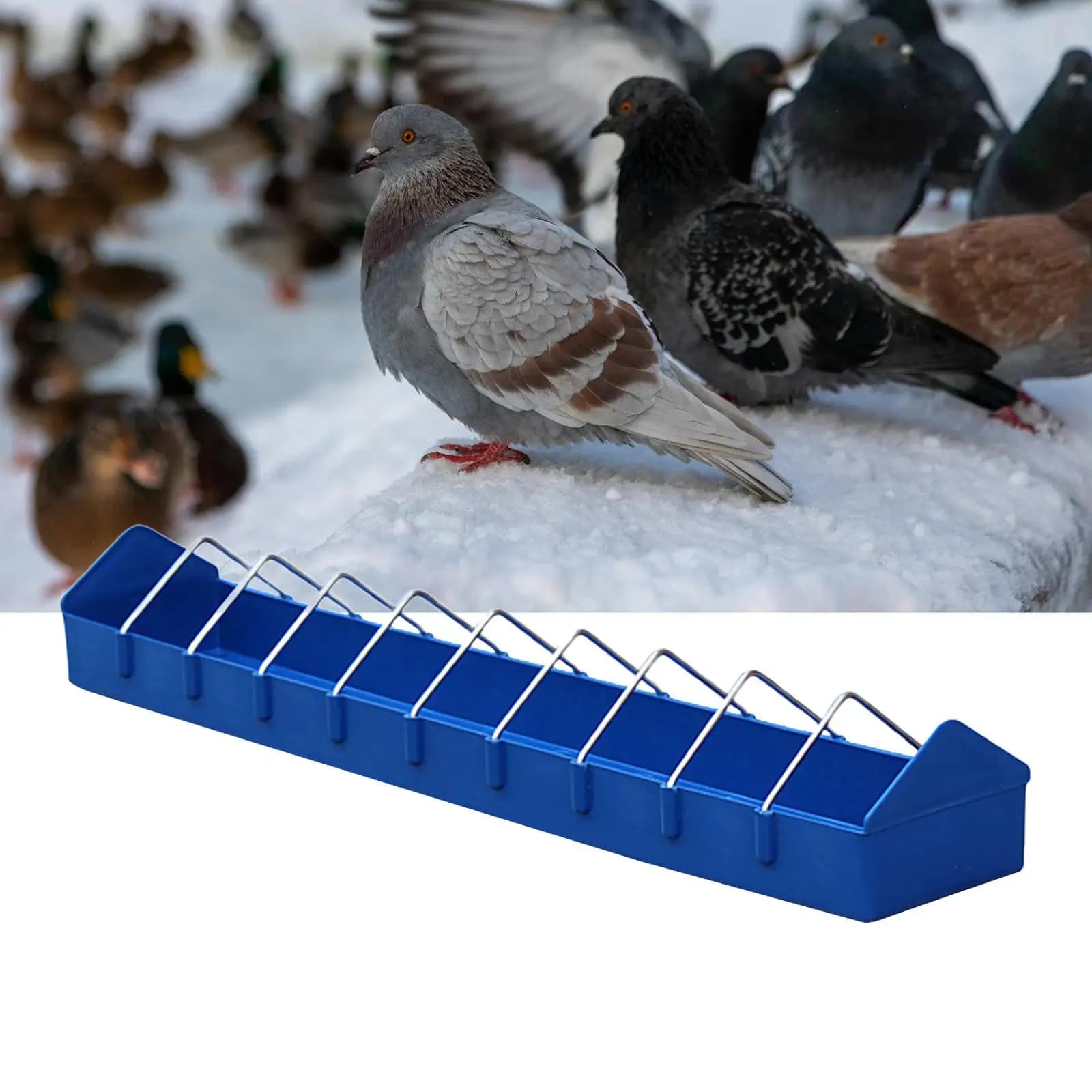 Pigeon Poultry Feeder Trough