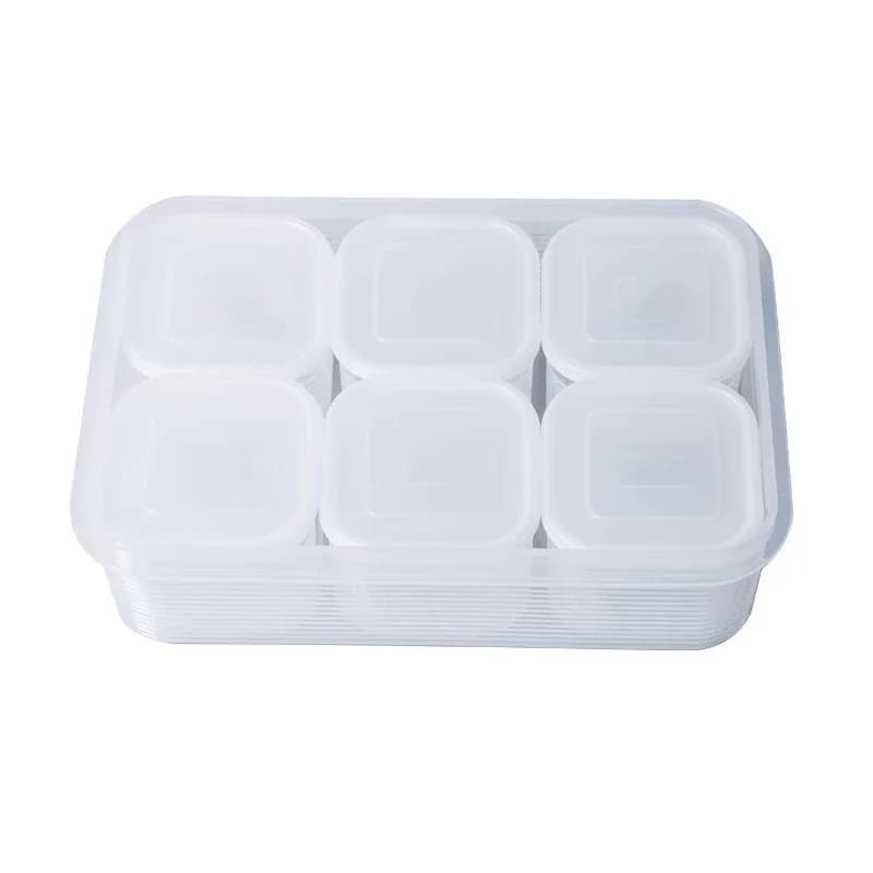 6-Compartment Food Storage Container with Lid