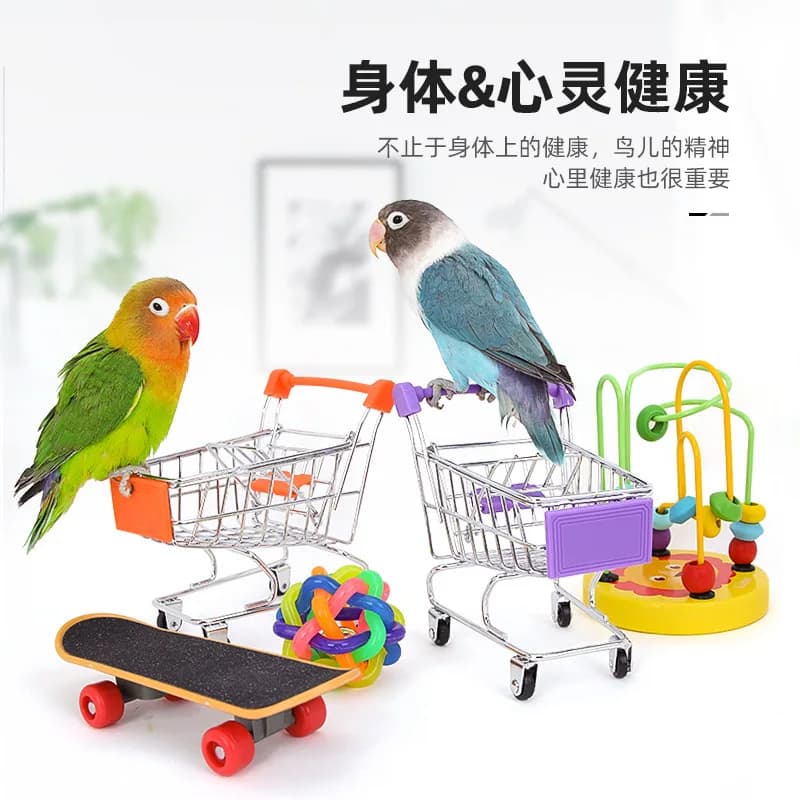 Bird Cage Activity Toy