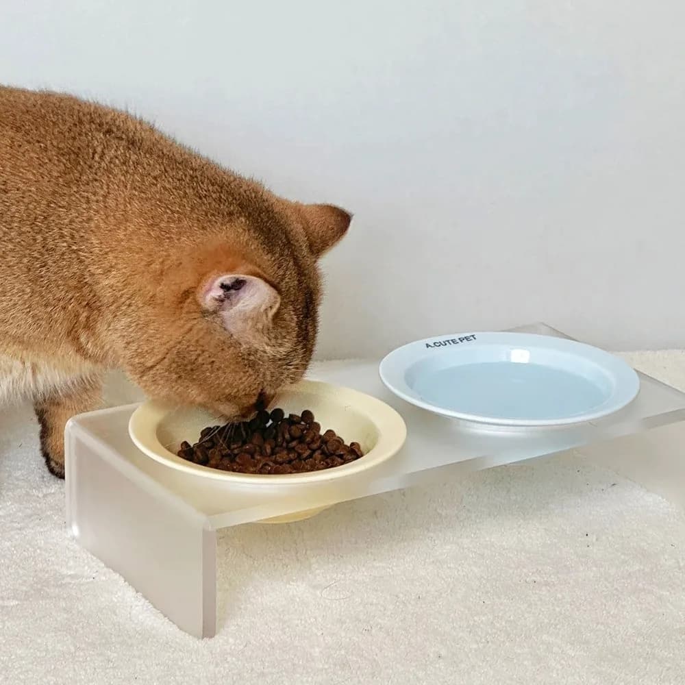 Ceramic Elevated Cat Bowl with Acrylic Stand