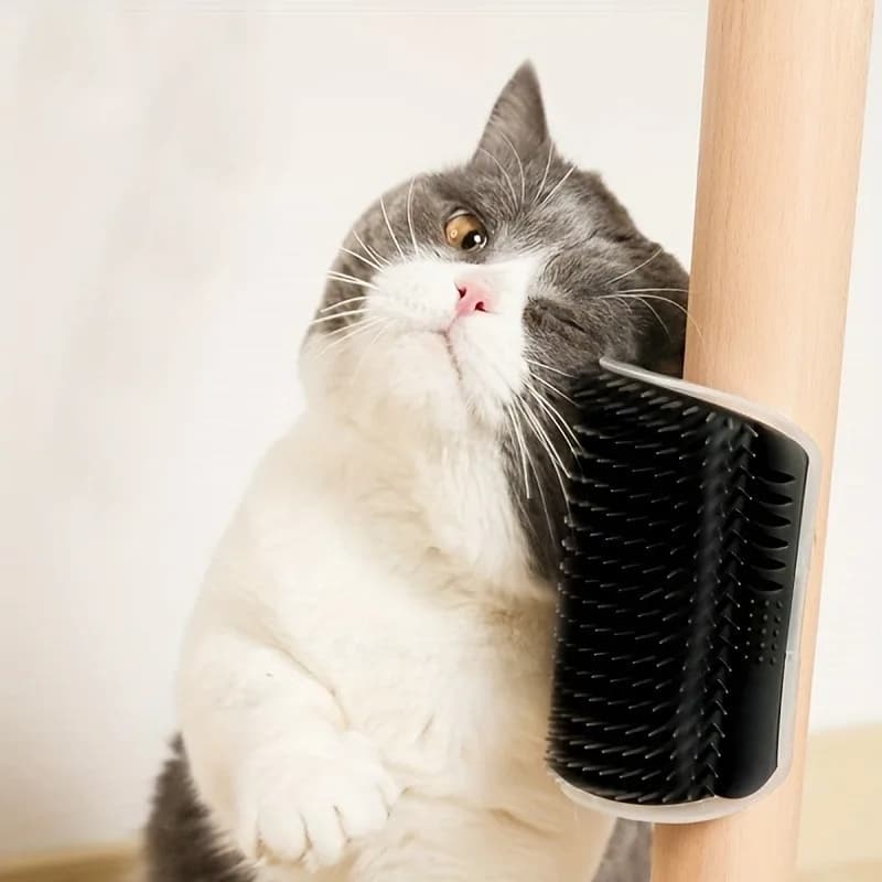 Pet cat scratcher and fur brush with wall corner toy for entertainment  a must-have for hair removal and itching
