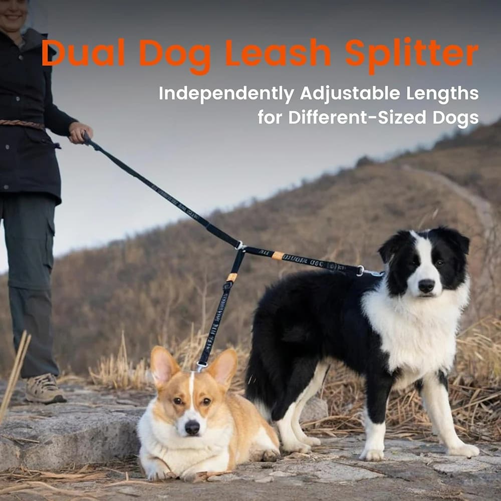 Dual Dog Leash Coupler with 360° Swivel