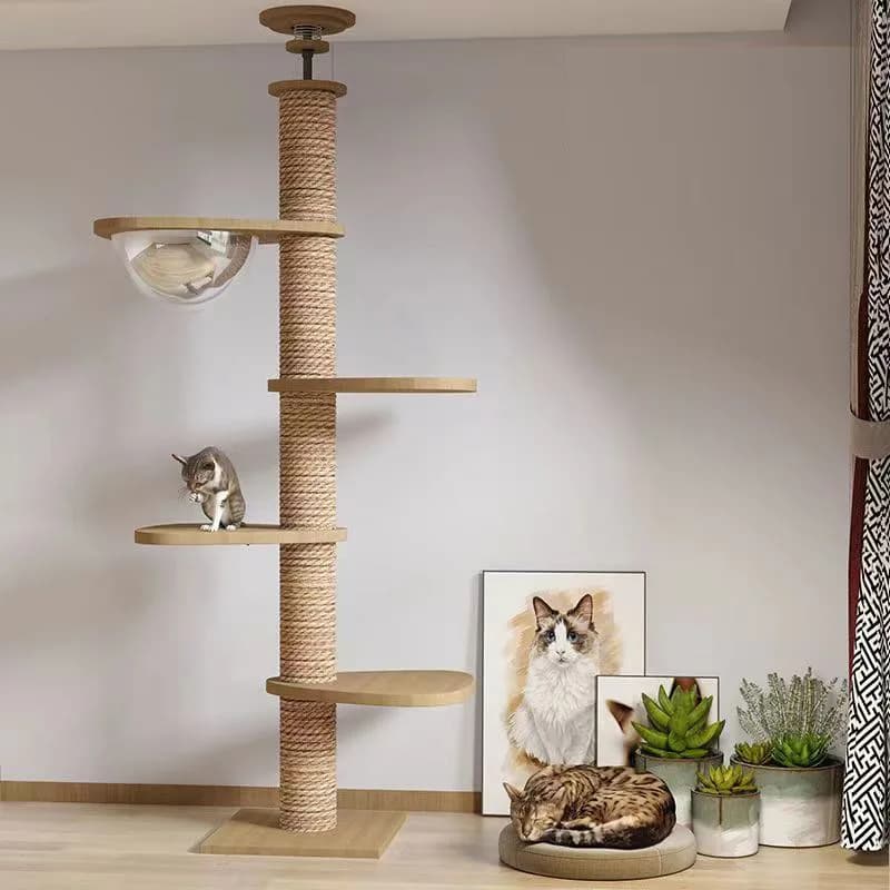 Adjustable Multi-Level Wooden Cat Climbing Frame