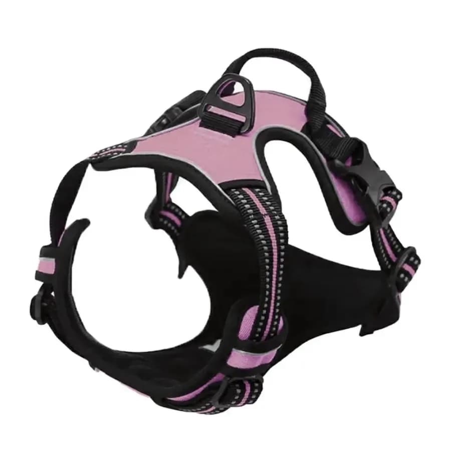 Dog Collar Harness and Leash Set