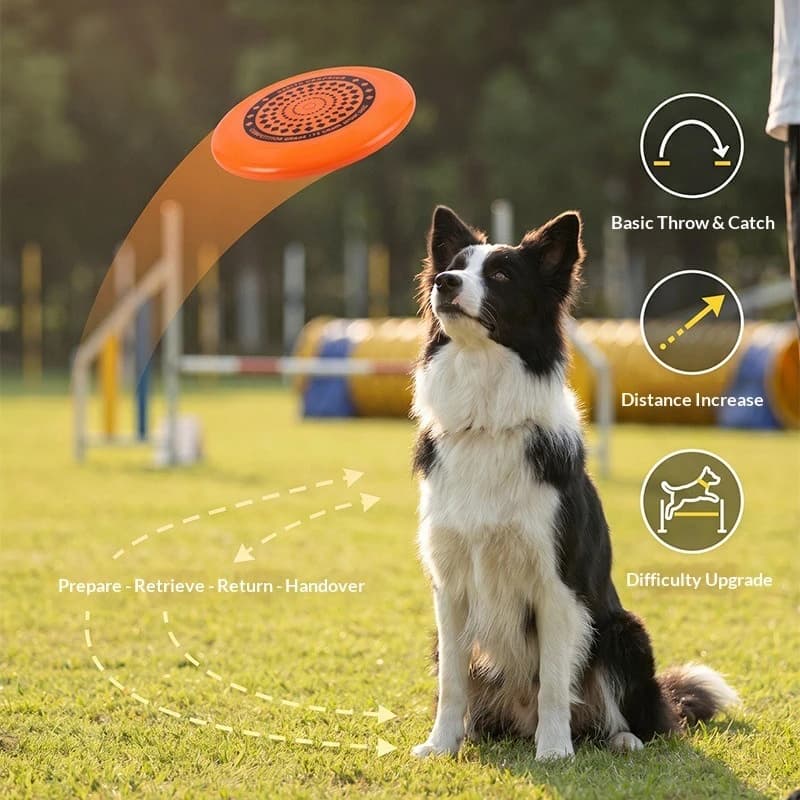 Durable Dog Flying Disc 27cm