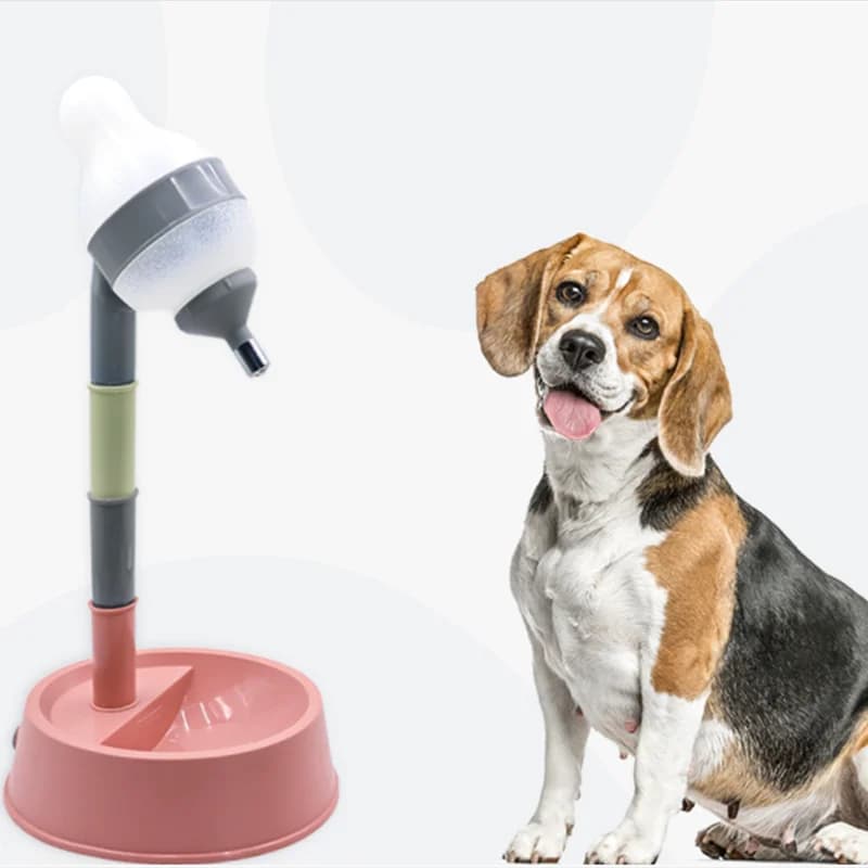 Adjustable Height Pet Water Dispenser Bowl