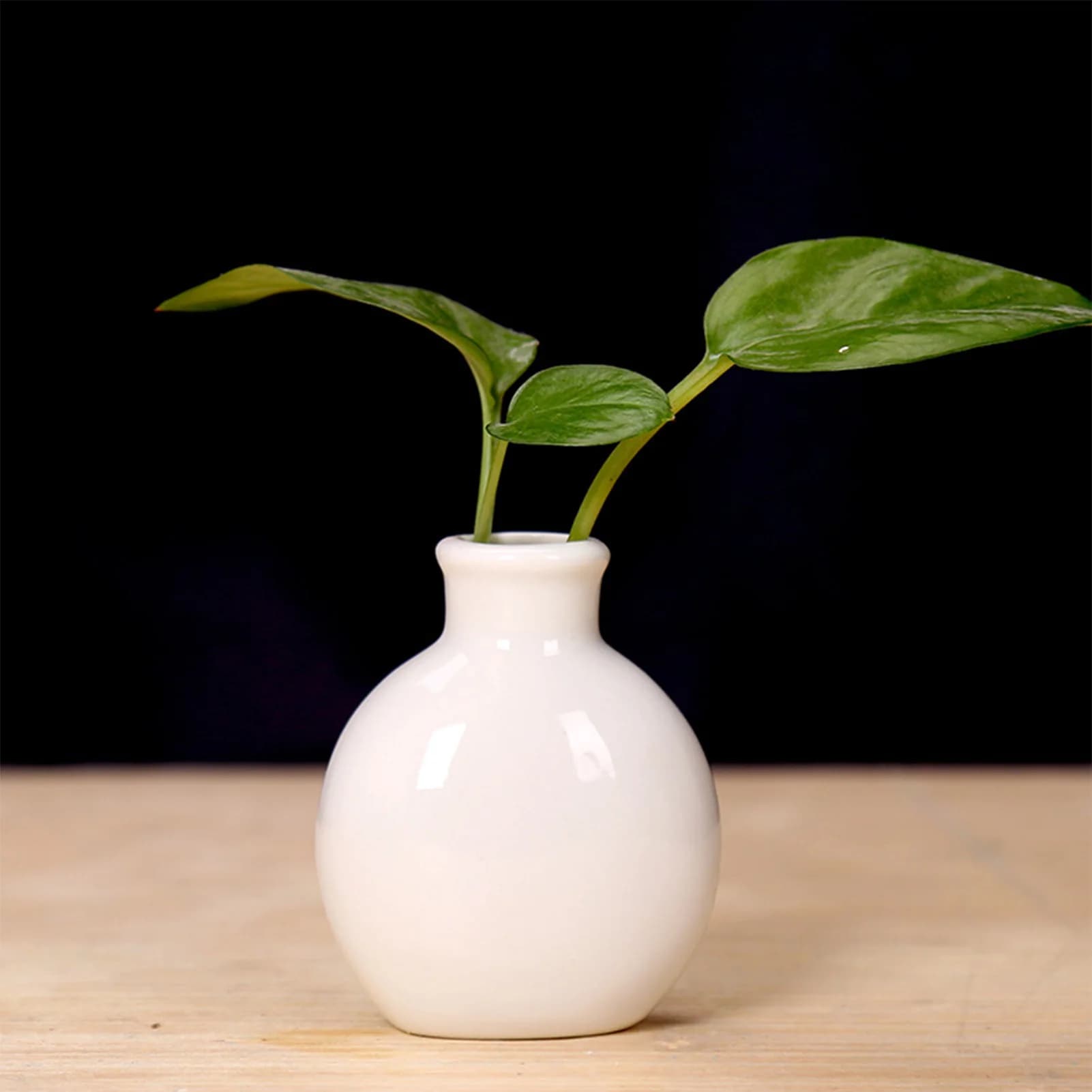Ceramic Flower Vase for Plants