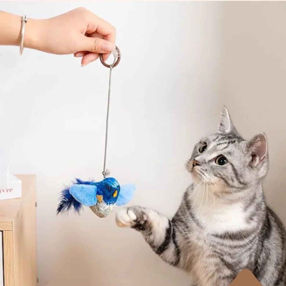 Interactive Bird Cat Toy With Catnip