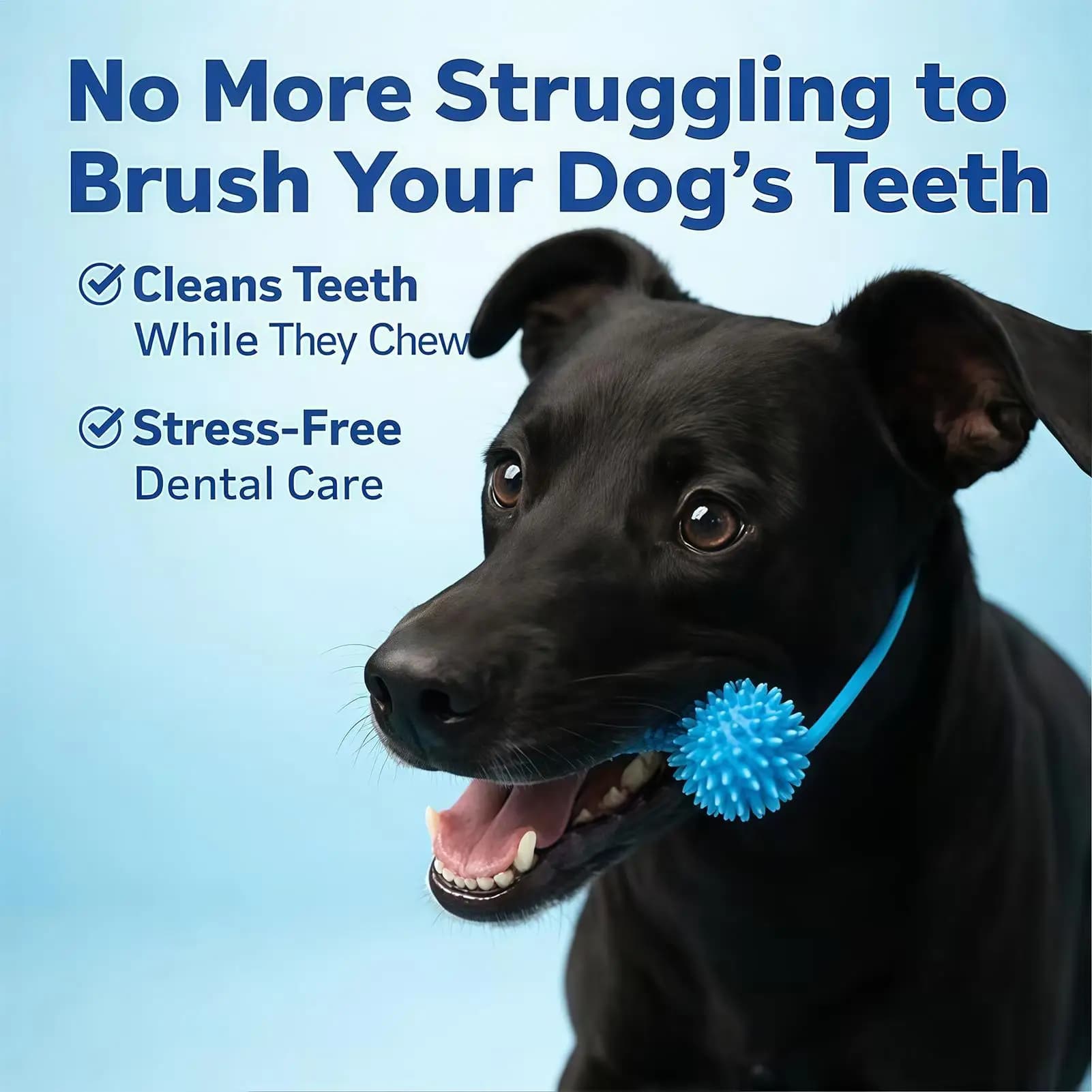 Dog Dental Chew Toy with Brushing Zone