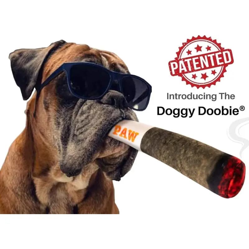 Dog toy - Funny Dog Toys - Plush Squeaky Toys for Medium, Small and Large - Cool Stuffed for Dog Birthday hj