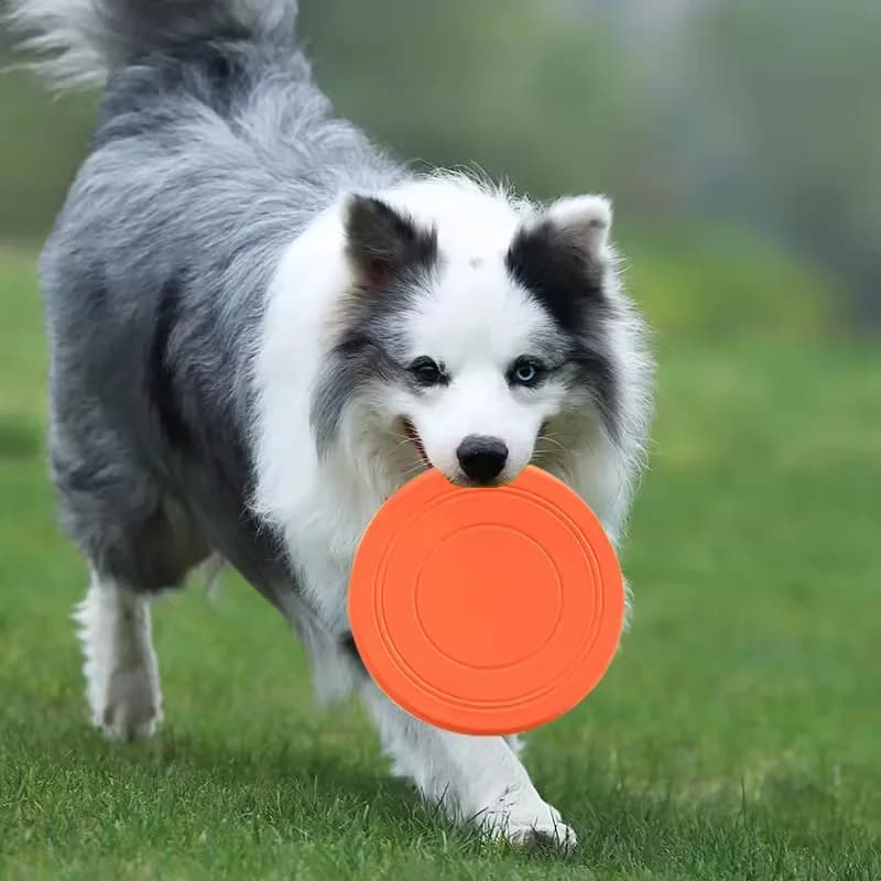 Dog Frisbee Toy Soft Rubber Flying Disc