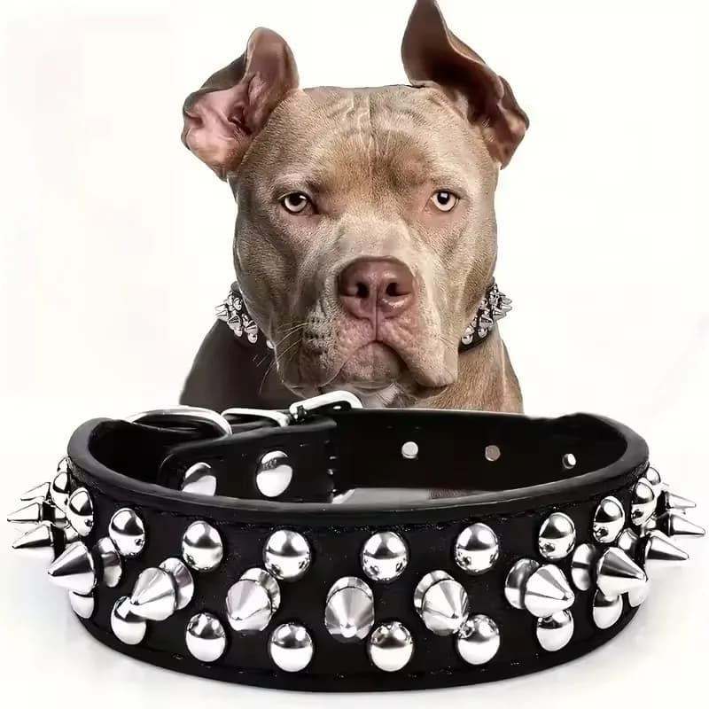 Adjustable Punk Rivet Pet Collar with Spikes