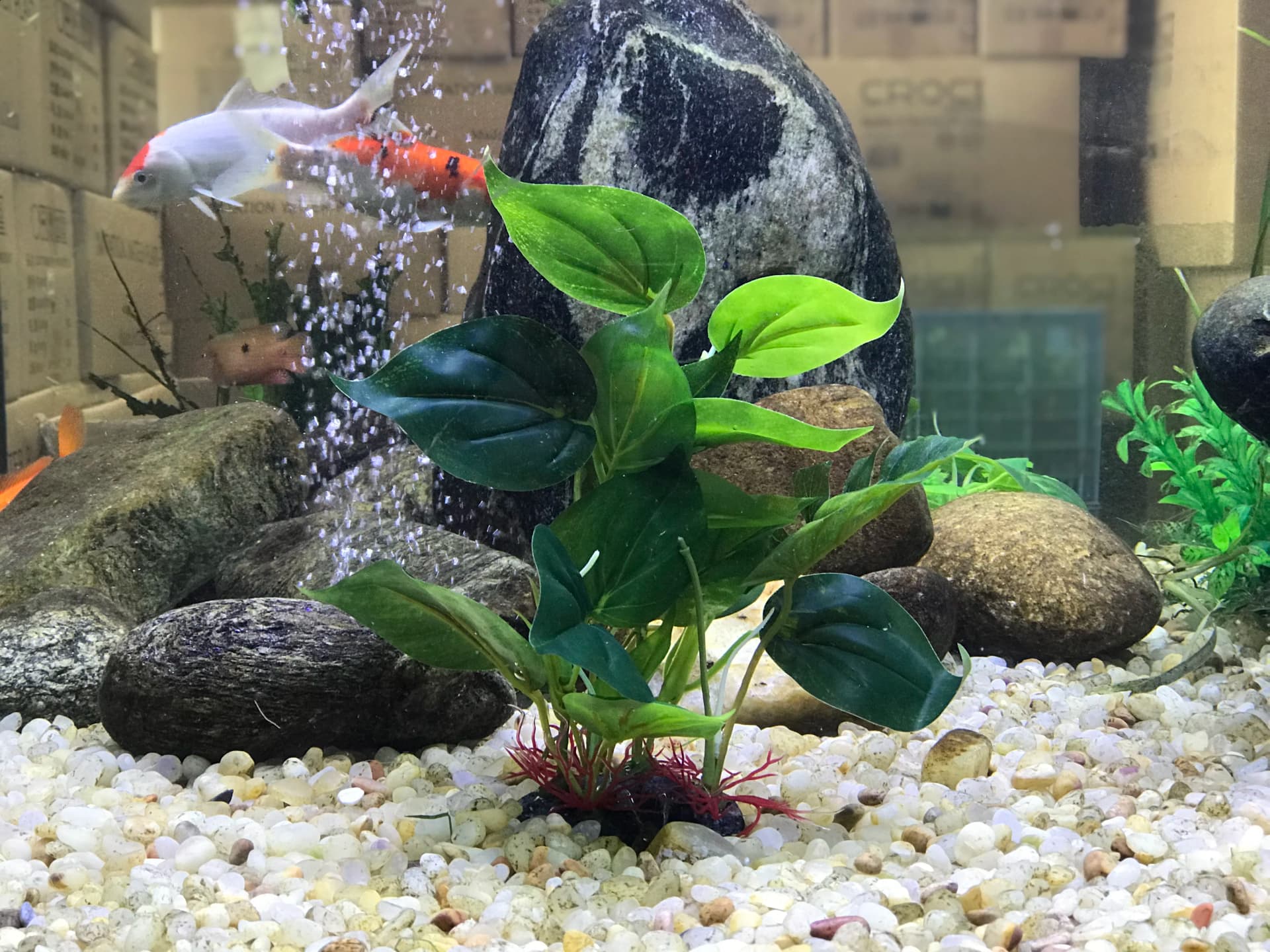Artificial Aquarium Plant with Large Leaves