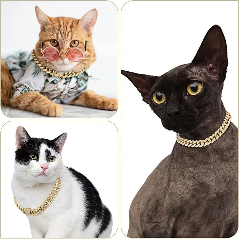 Gold Metal Chain Collar for Dogs and Cats