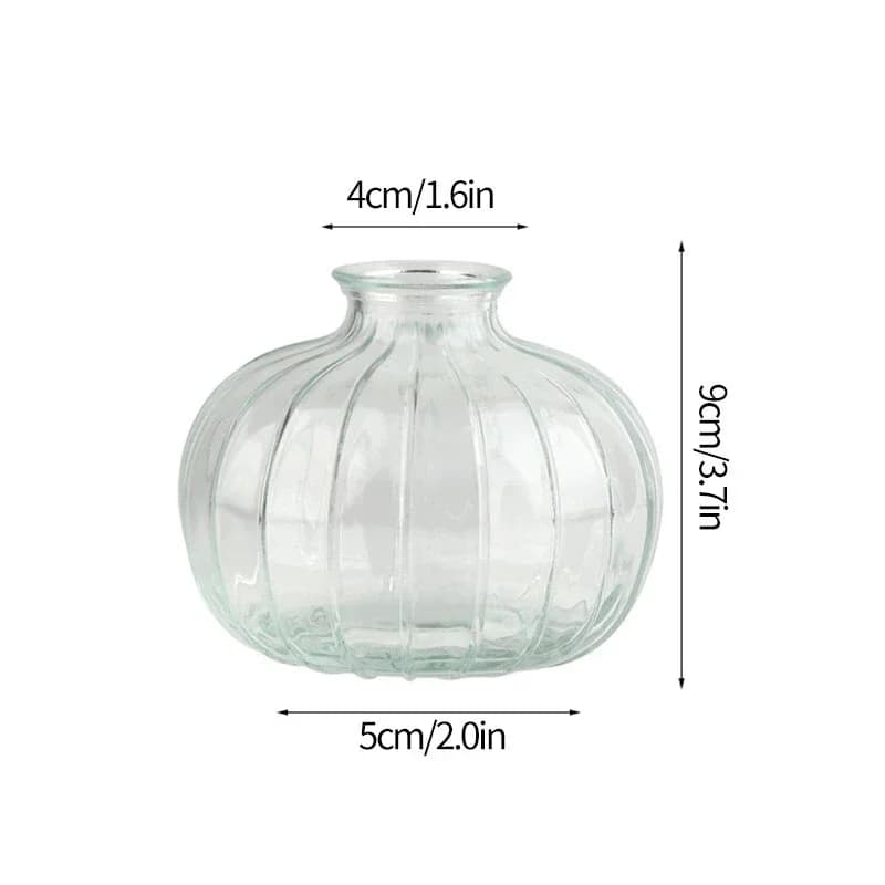 Clear Glass Minimalist Flower Vase