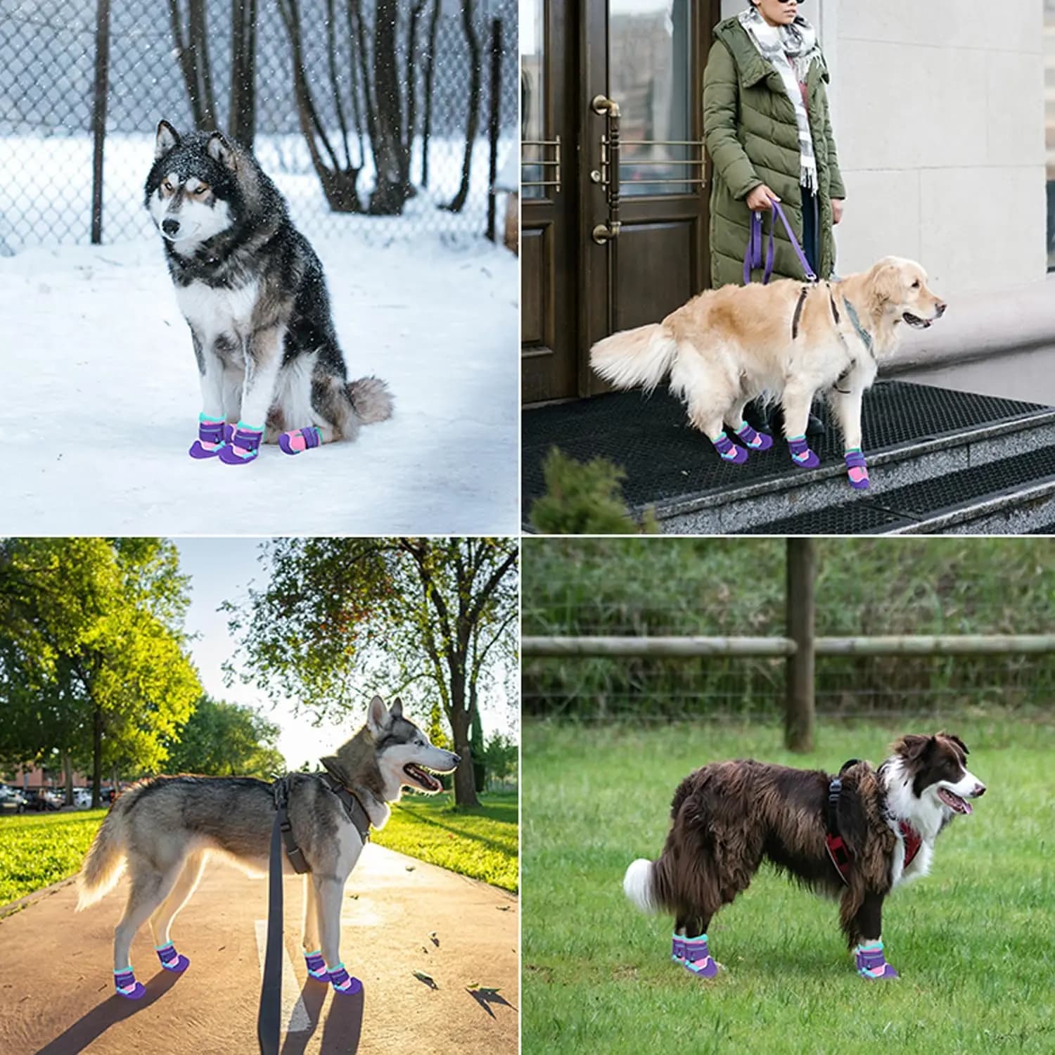 Dog Shoes for Dogs, Waterproof Medium Dog Booties for Winter Snowy Day, Summer Hot Pavement, Outdoor Walking, Indoor Hardfloors