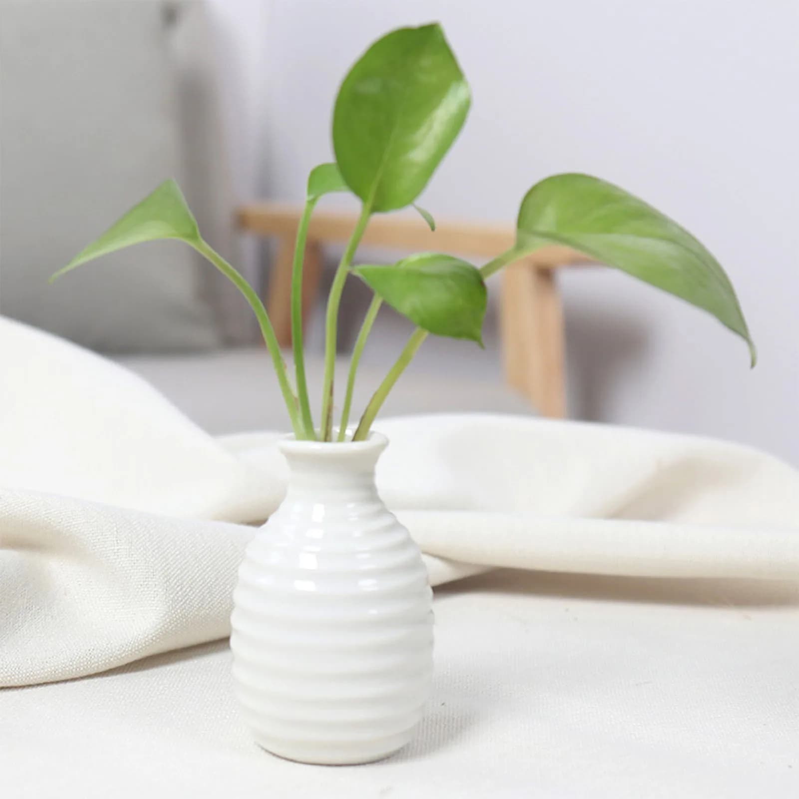 Ceramic Flower Vase for Plants