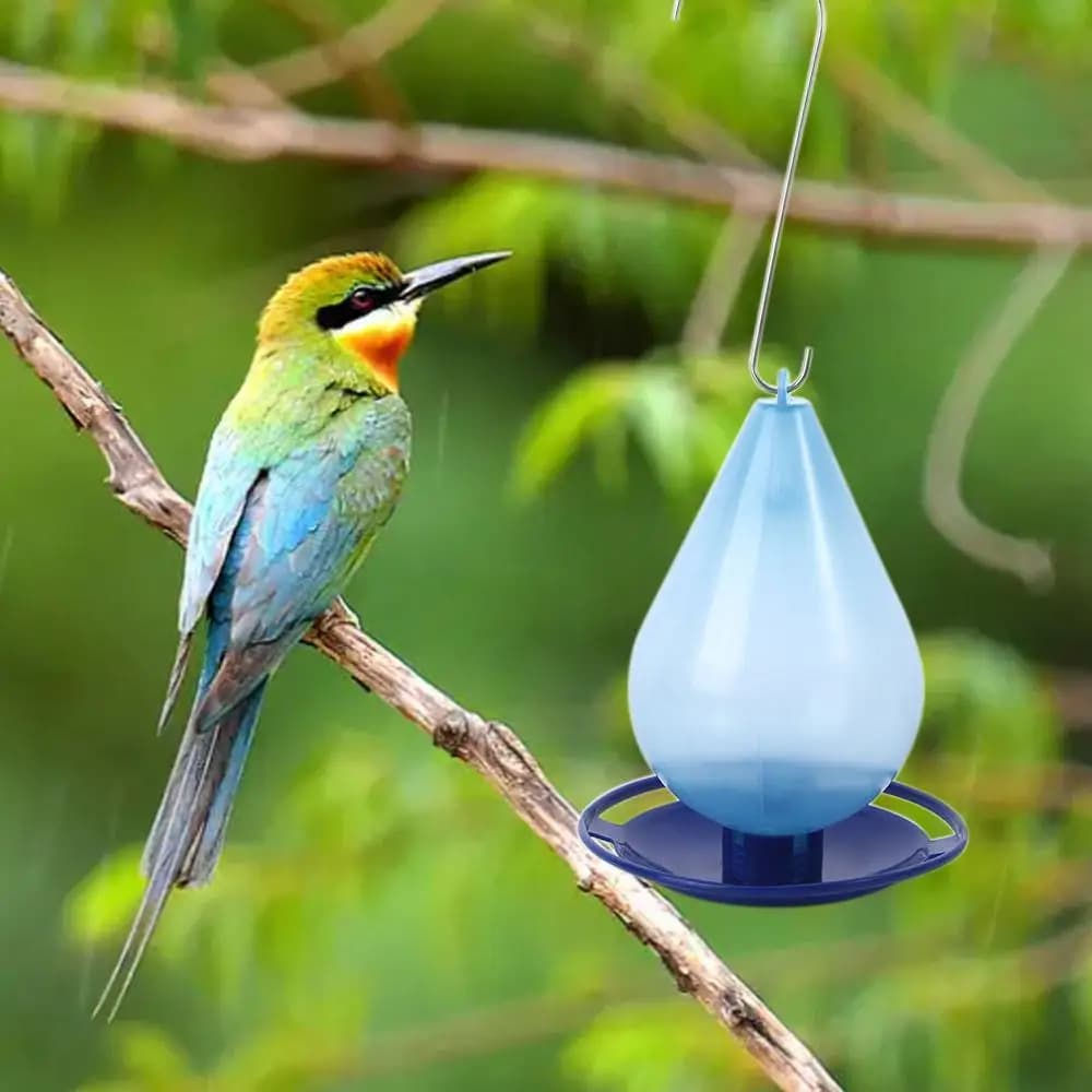 Large Capacity Outdoor Bird Water Feeder