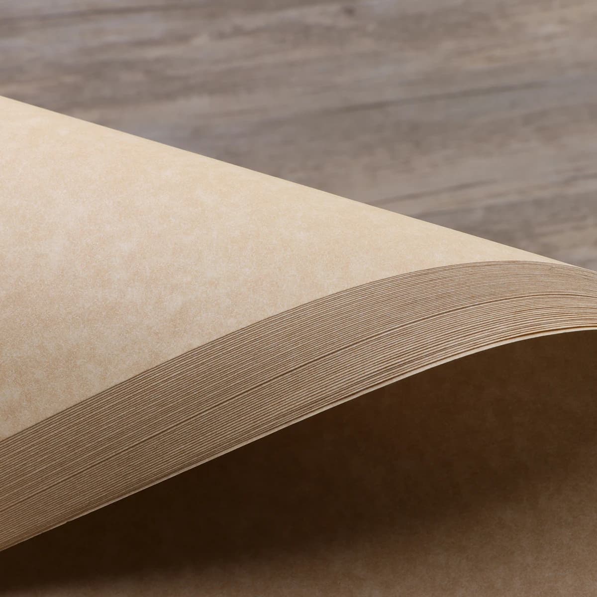 Parchment Paper A4 Certificate Sheets