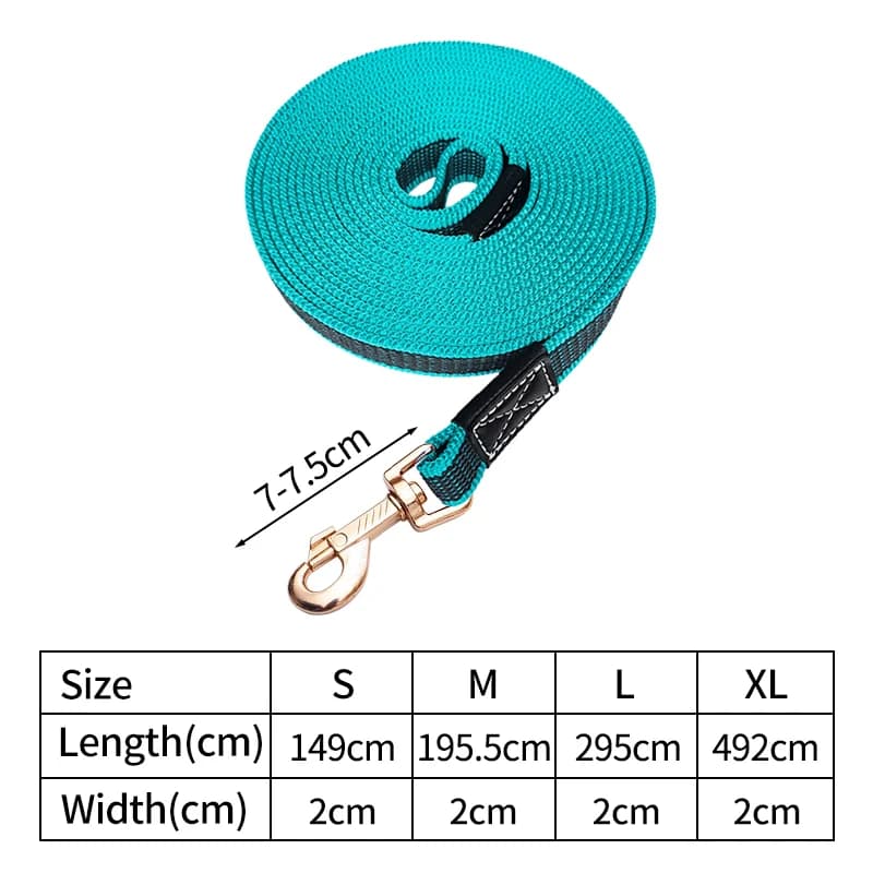 Adjustable Nylon Dog Leash with Rubber Grip