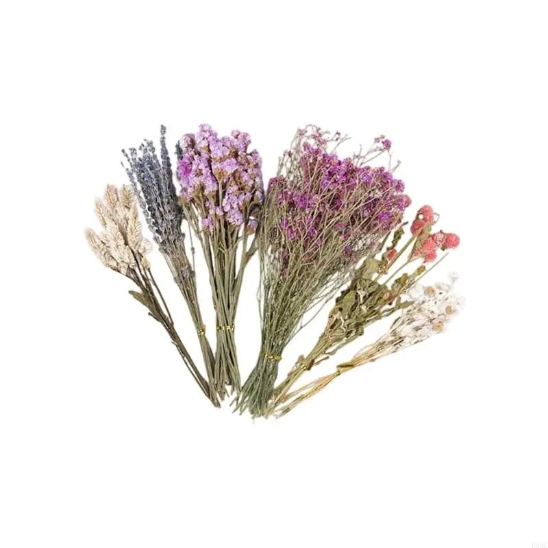 Natural Dried Flower Hamster Bedding