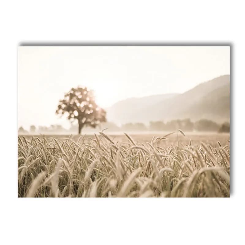 Natural Scenery Reed Grass Beach Canvas Wall Art