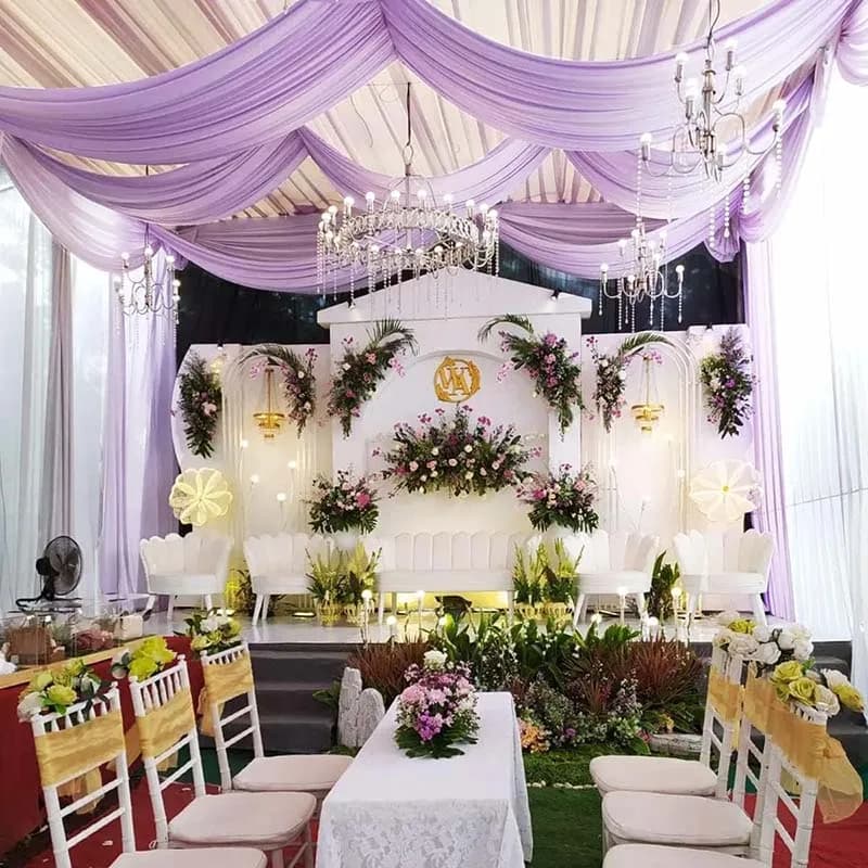 Sheer Chiffon Ceiling Drape Panel