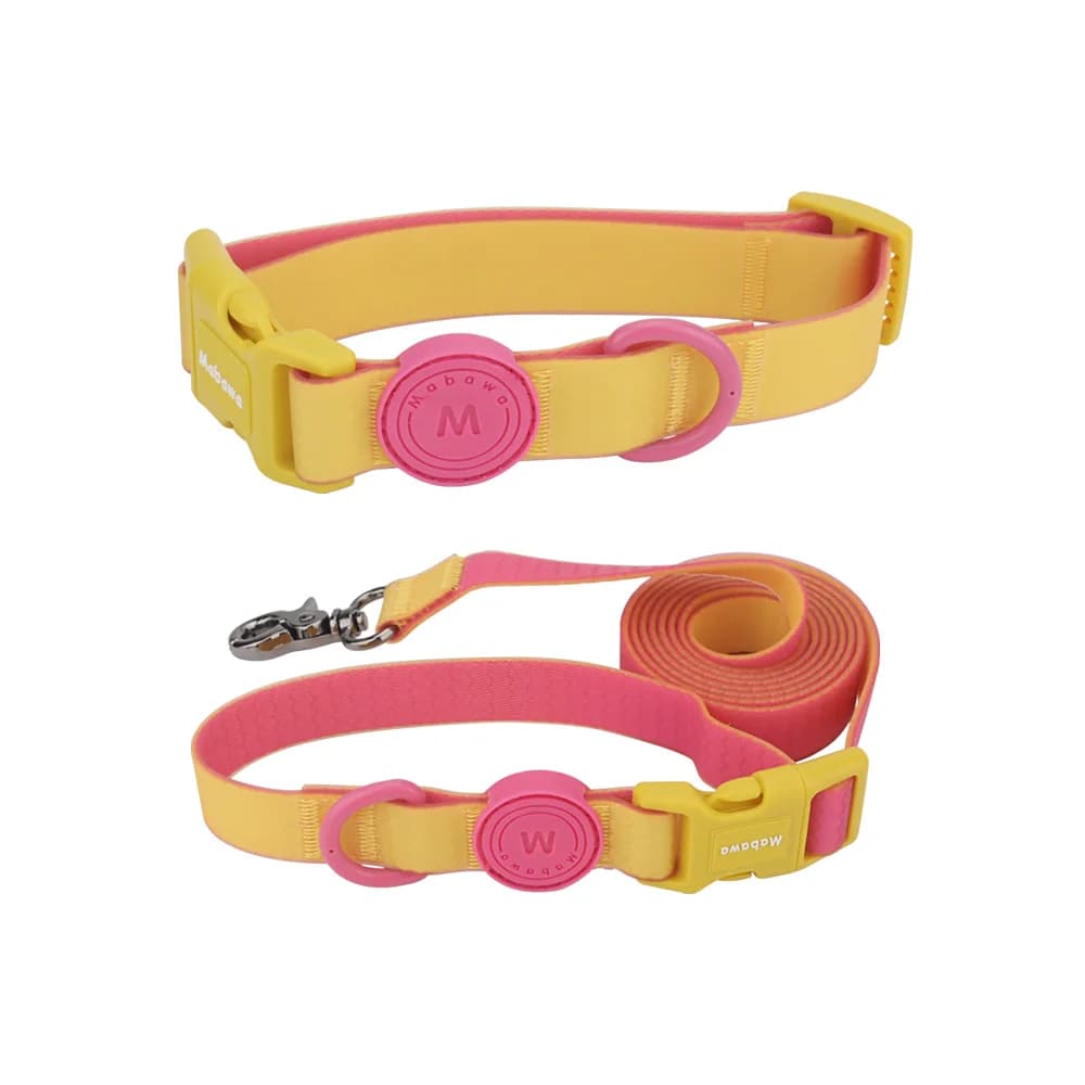Candy Color Medium Pet Collar with Leash
