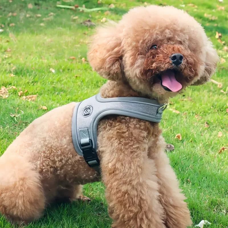 No-Pull Dog Harness Reflective Vest
