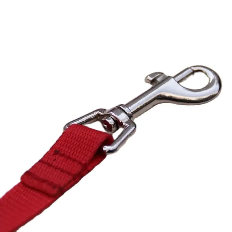 Double Dog Leash with Dual Couplers