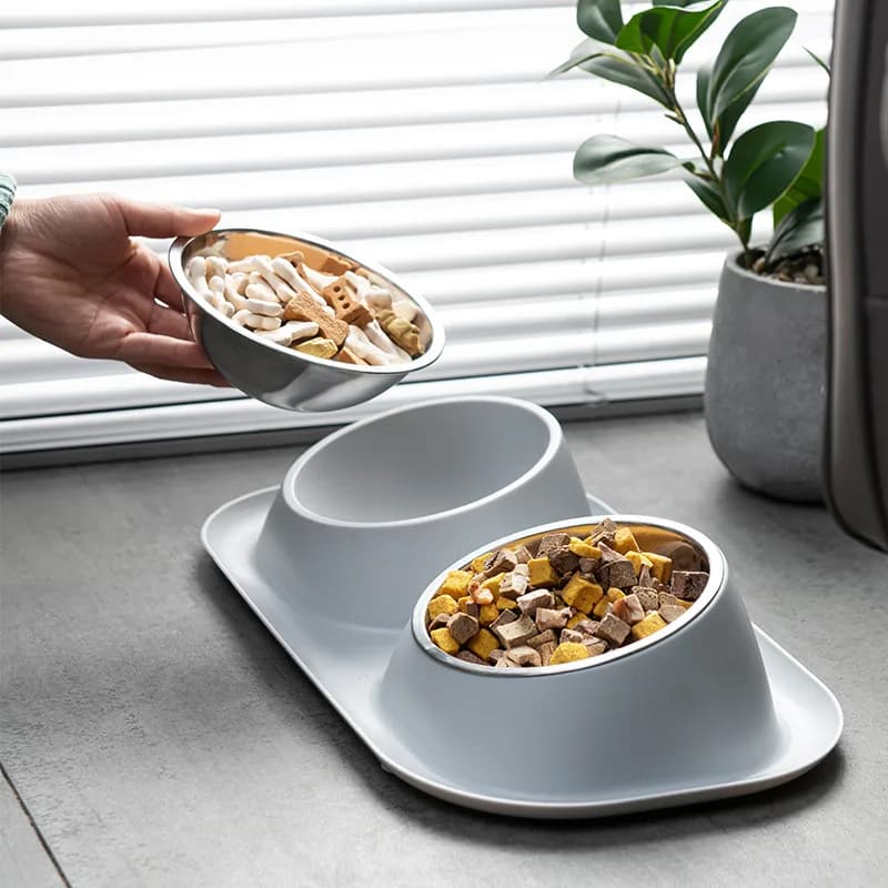 Stainless Steel Raised Pet Bowl Feeder