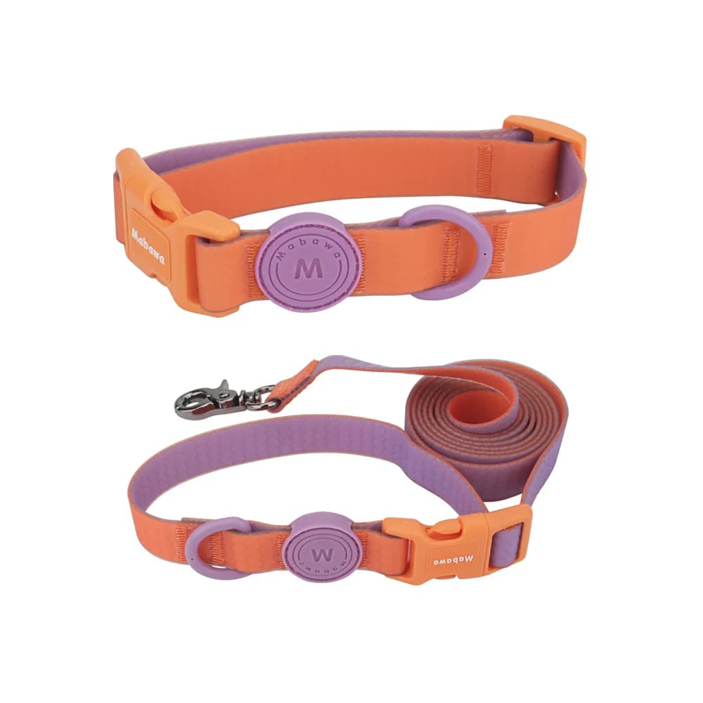 Candy Color Medium Pet Collar with Leash