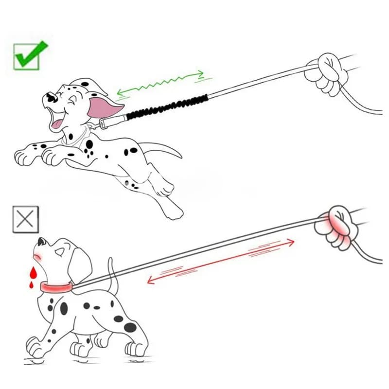 Dog Leash Extension Elastic Rope 45cm